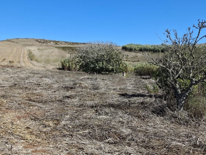 Terreno para Venda em Vila do Bispo e Raposeira Foto 16