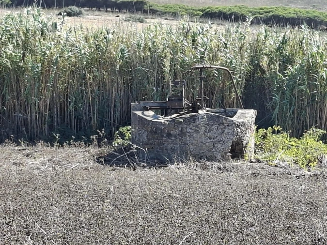 Terreno para Venda em Vila do Bispo e Raposeira Foto 8