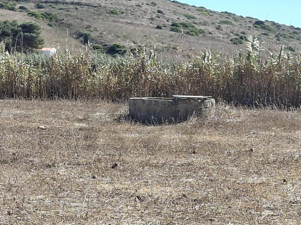 Terreno para Venda em Vila do Bispo e Raposeira Foto 20