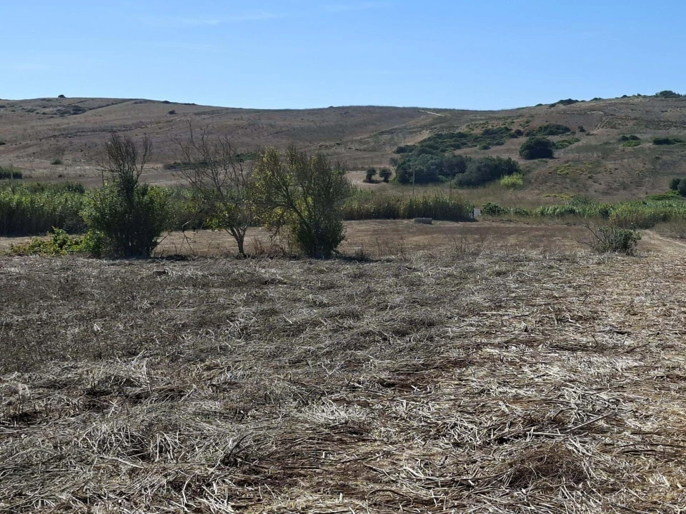 Terreno para Venda em Vila do Bispo e Raposeira Foto 9