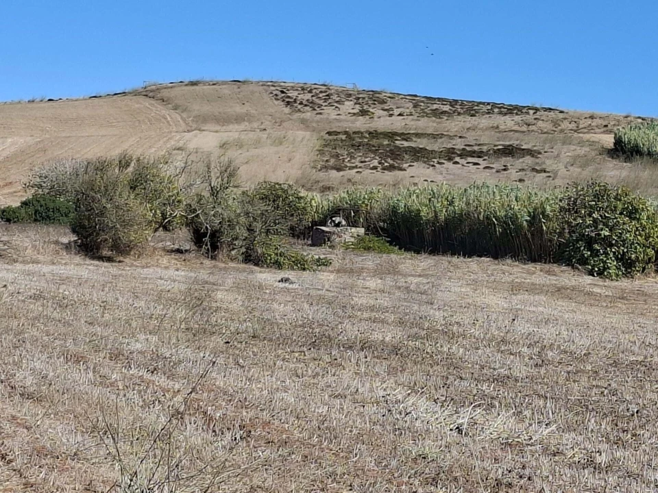 Terreno para Venda em Vila do Bispo e Raposeira Foto 25