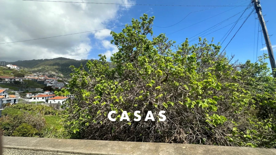 Terreno Agricola ou Rústico para Venda em Campanario Foto 2