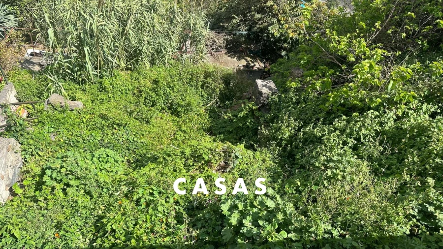 Terreno Agricola ou Rústico para Venda em Campanario Foto 6