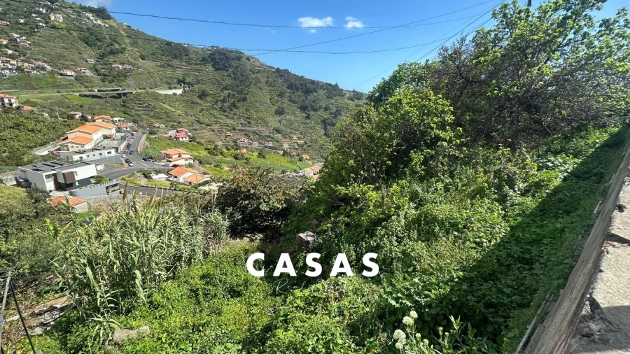 Terreno Agricola ou Rústico para Venda em Campanario Foto 4