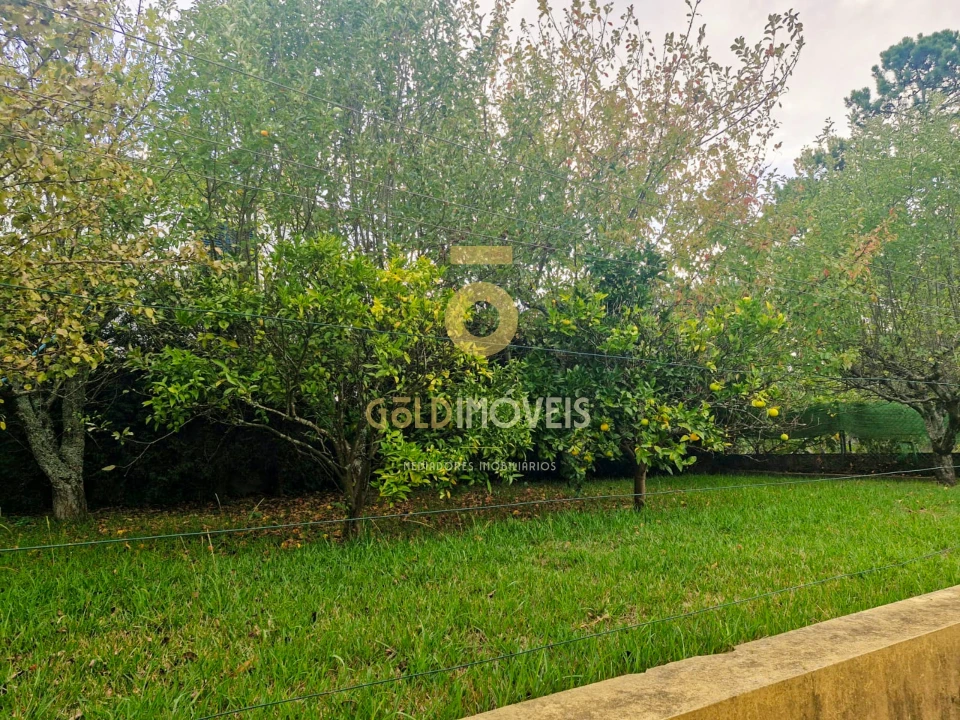 Moradia T3 para Venda em Macieira de Sarnes Foto 39