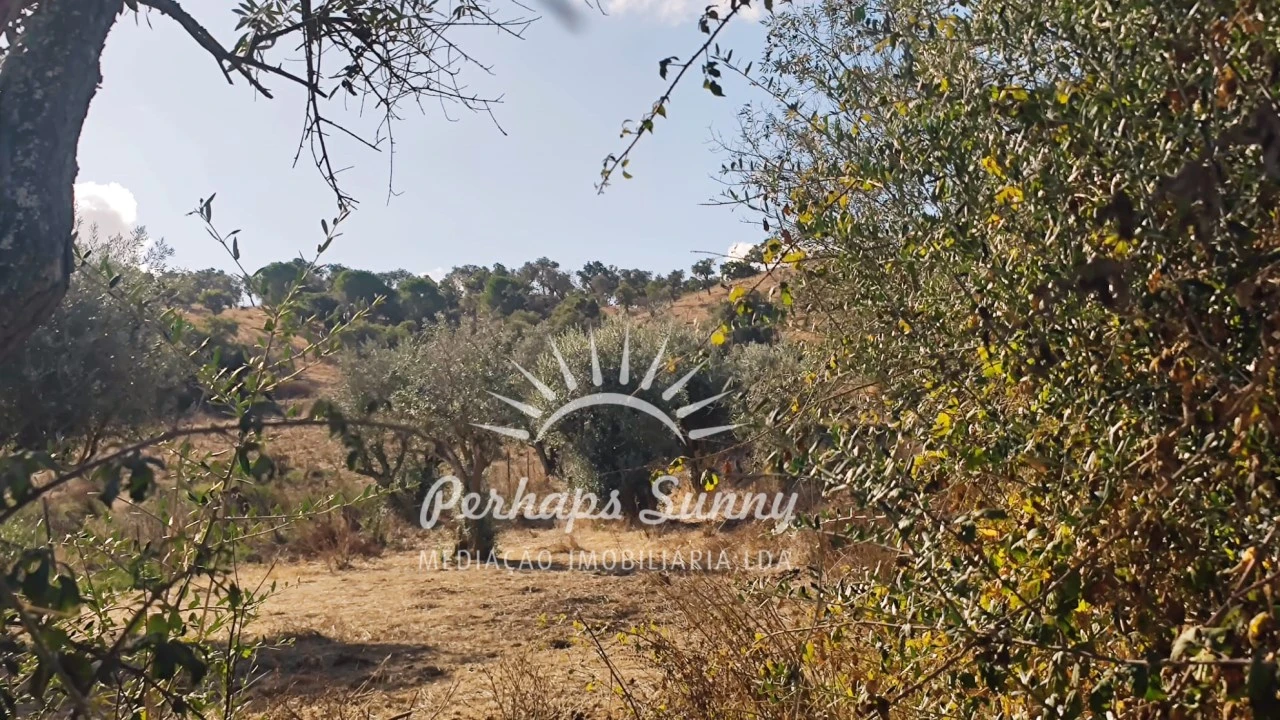 Terreno Agricola ou Rústico para Venda em Grândola e Santa Margarida da Serra Foto 3