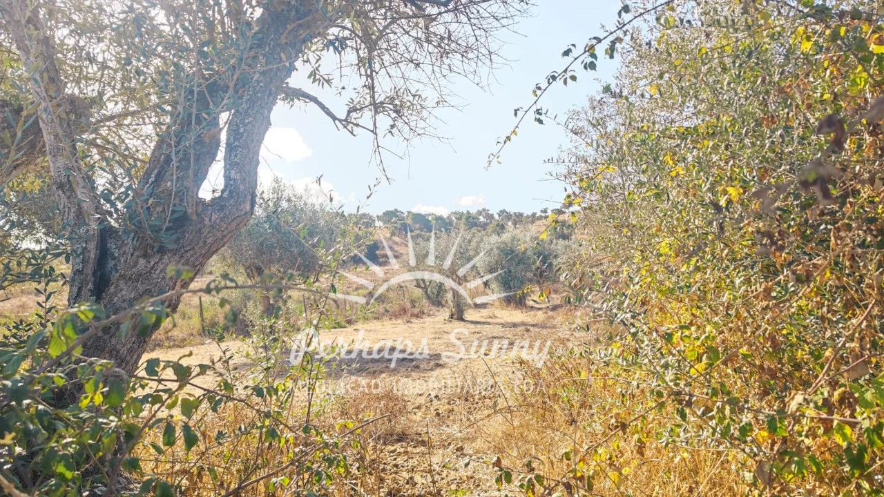 Terreno Agricola ou Rústico para Venda em Grândola e Santa Margarida da Serra Foto 13