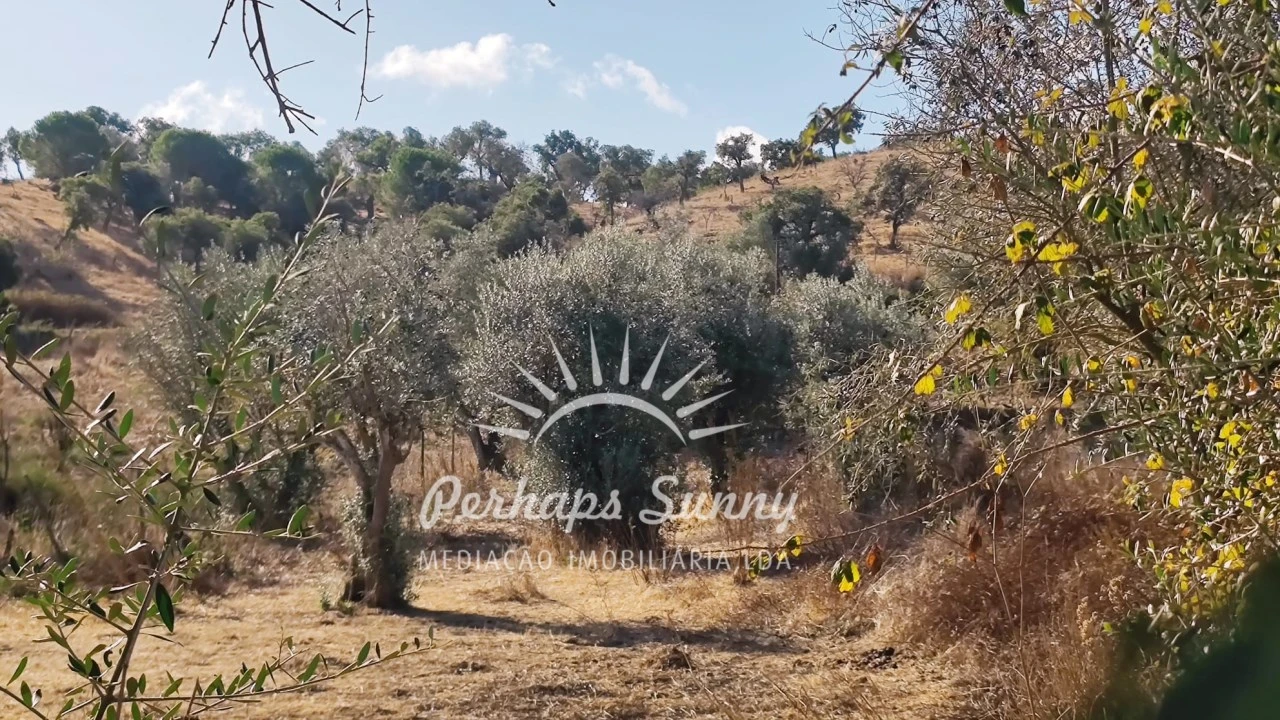 Terreno Agricola ou Rústico para Venda em Grândola e Santa Margarida da Serra Foto 15