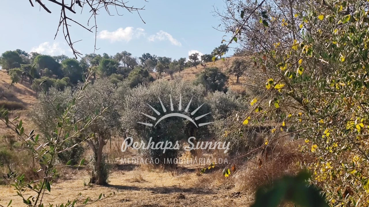 Terreno Agricola ou Rústico para Venda em Grândola e Santa Margarida da Serra Foto 16