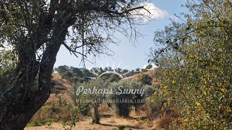 Terreno Agricola ou Rústico para Venda em Grândola e Santa Margarida da Serra