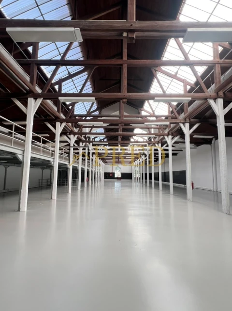 Escritório para Arrendamento em Paranhos