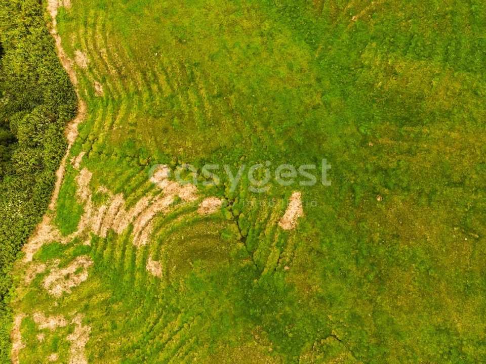 Terreno para Venda em Ajuda da Bretanha Foto 7