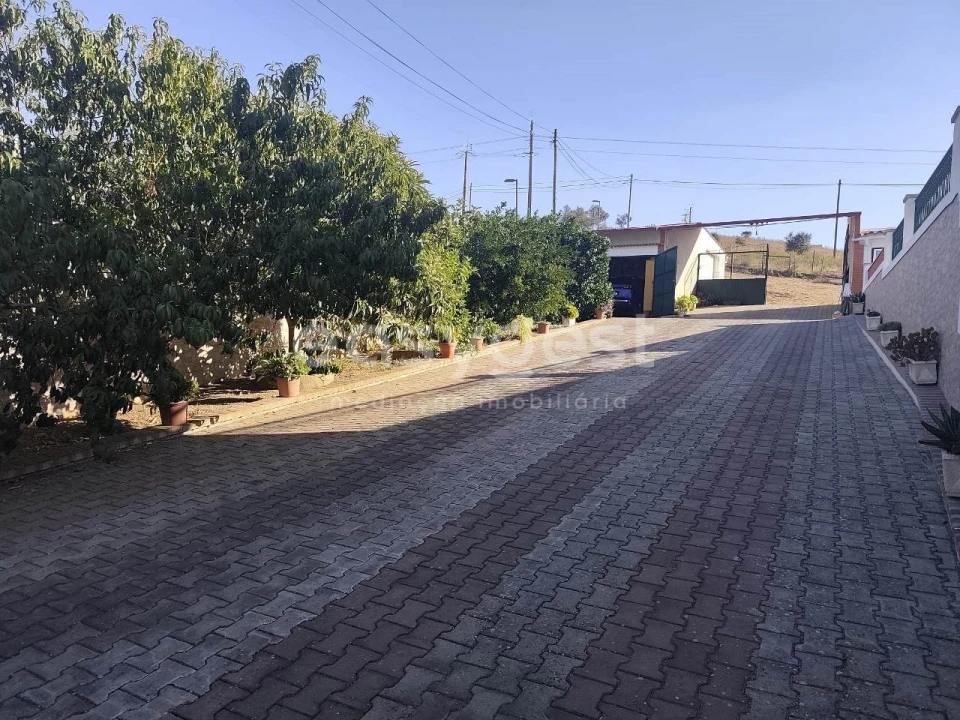 Moradia T3 para Venda em Aljustrel e Rio de Moinhos Foto 20