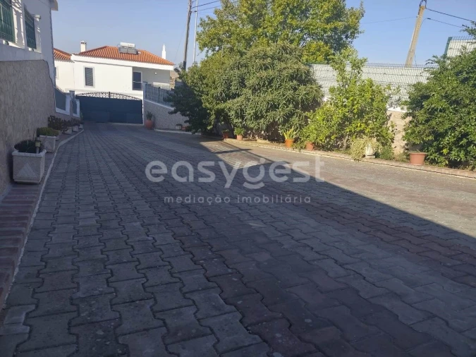 Moradia T3 para Venda em Aljustrel e Rio de Moinhos Foto 21