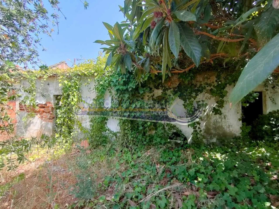 Moradia T3 para Venda em Marinhais Foto 19