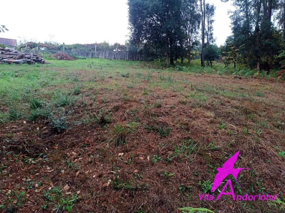 Terreno para Venda em Cerdal Foto 3