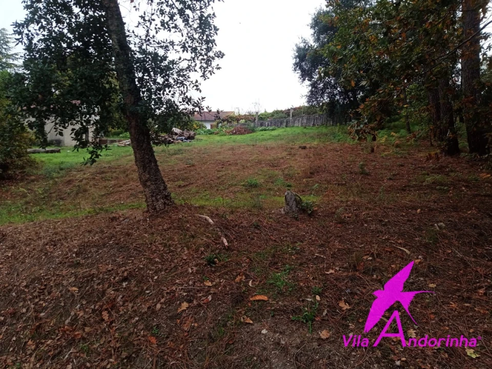 Terreno para Venda em Cerdal Foto 4