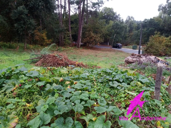 Terreno para Venda em Cerdal Foto 9