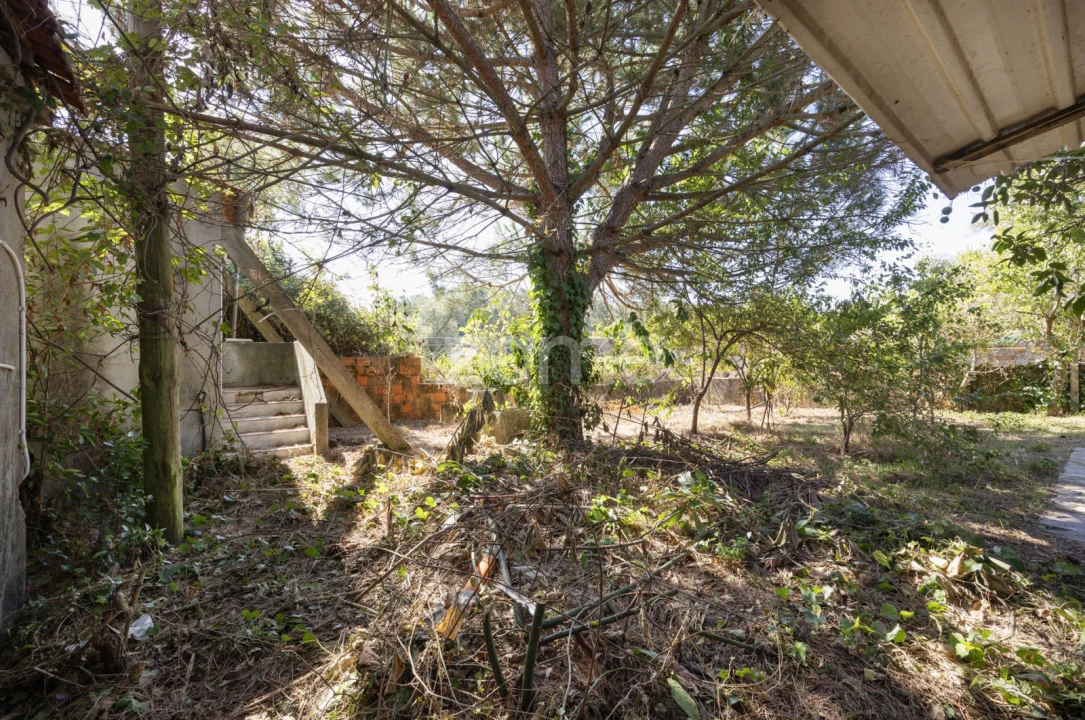 Moradia T4 para Venda em Santiago e São Simão de Litém e Albergaria dos Doze Foto 49