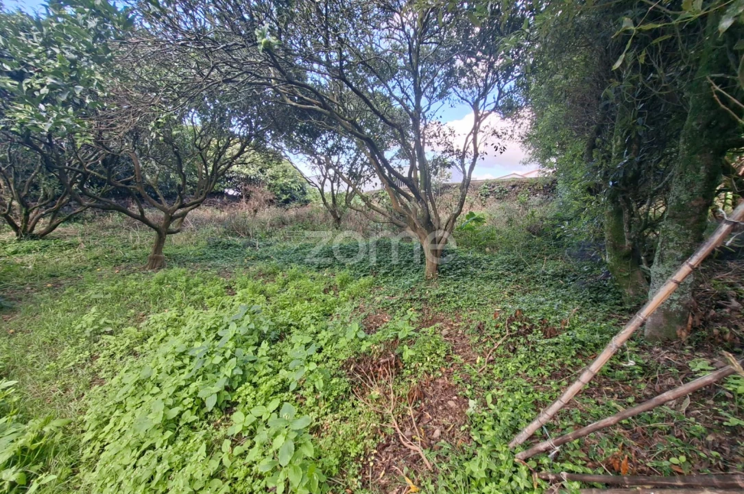 Terreno para Venda em Capelas Foto 9