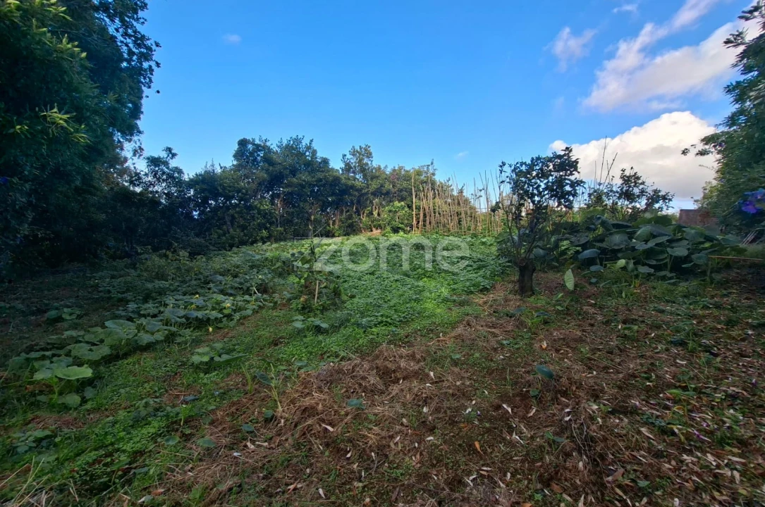 Terreno para Venda em Capelas Foto 10