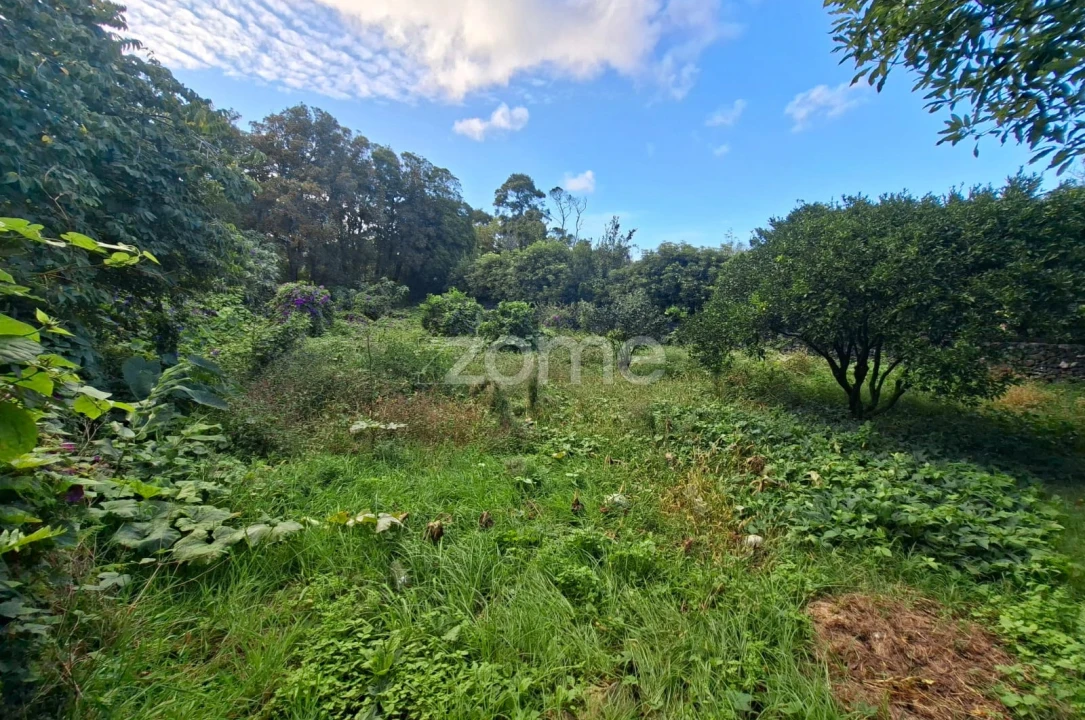 Terreno para Venda em Capelas Foto 7
