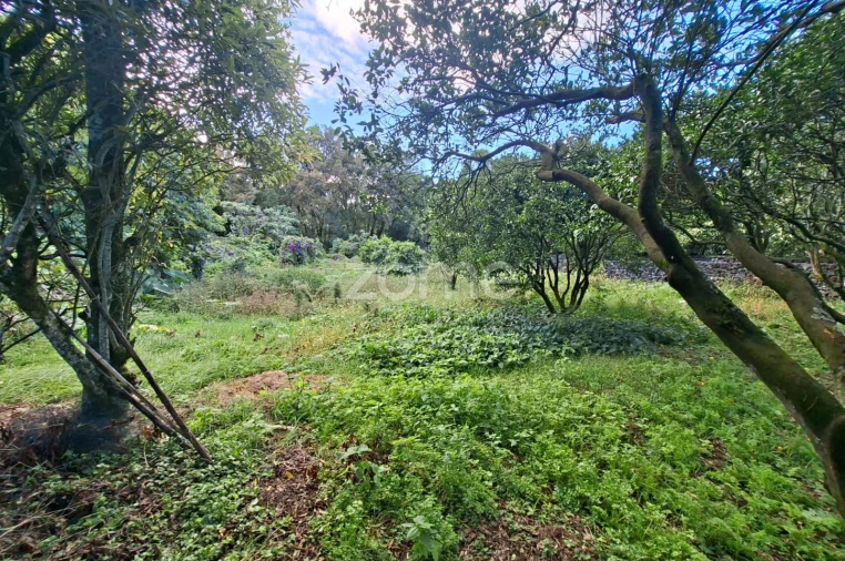 Terreno para Venda em Capelas Foto 6