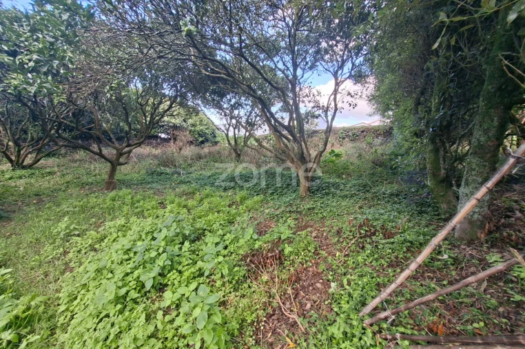 Terreno para Venda em Capelas Foto 9