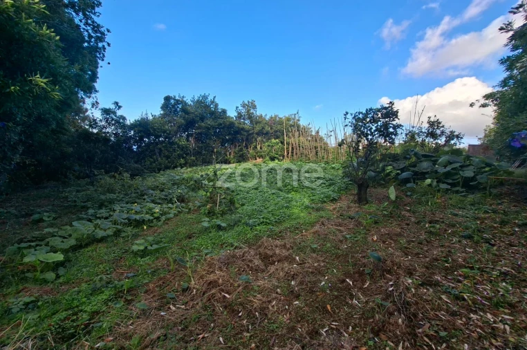 Terreno para Venda em Capelas Foto 10