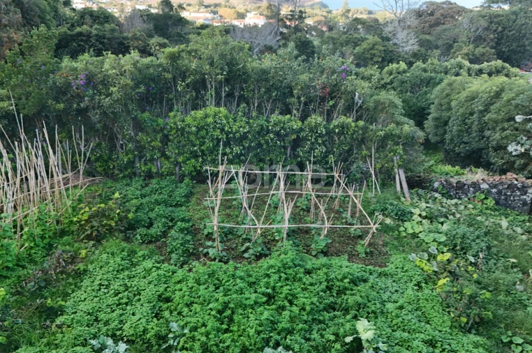 Terreno para Venda em Capelas Foto 3