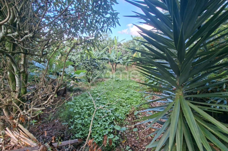 Terreno para Venda em Capelas Foto 5