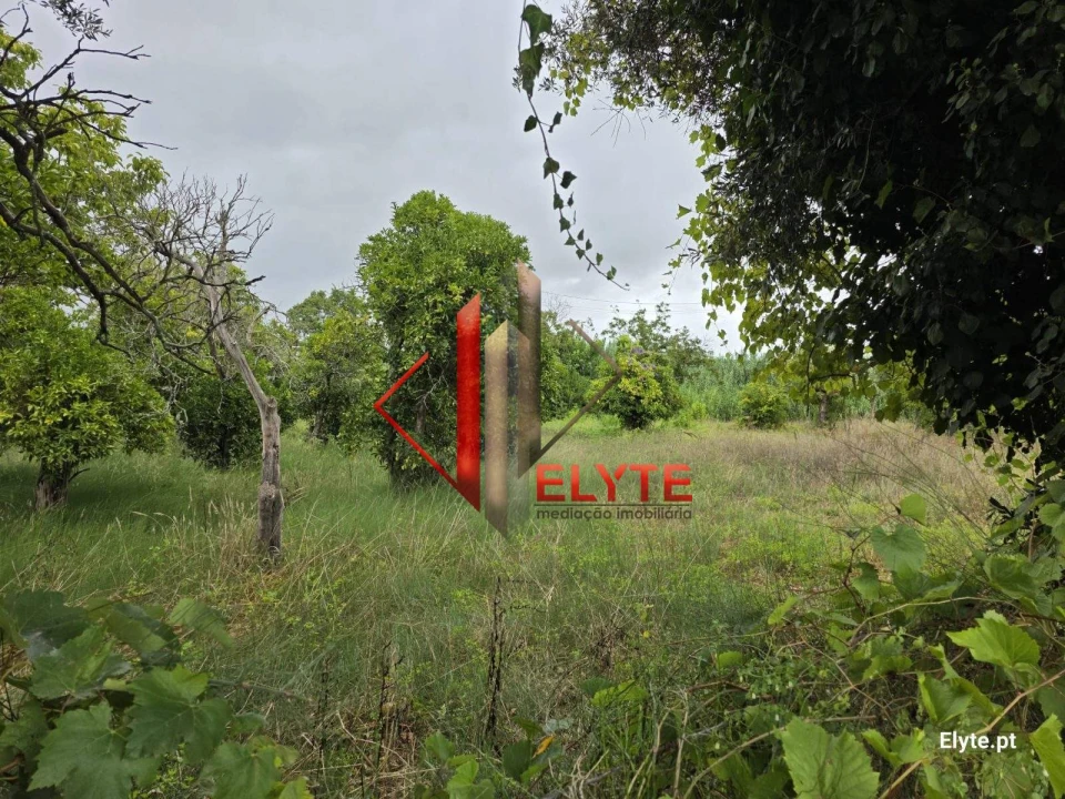 Terreno para Venda em Coruche, Fajarda e Erra Foto 1