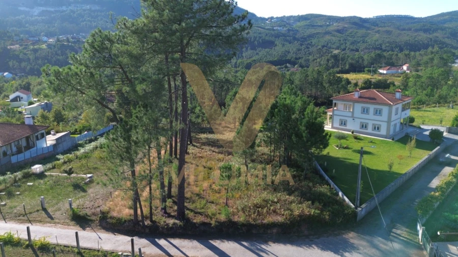 Terreno para Venda em Calheiros Foto 7