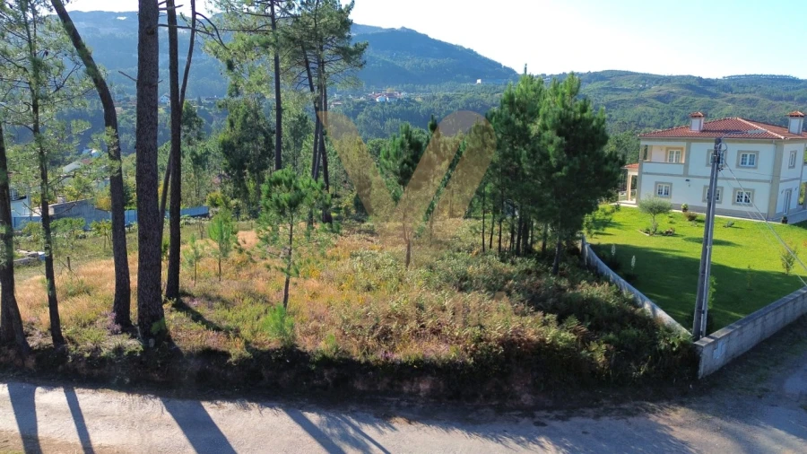 Terreno para Venda em Calheiros Foto 8