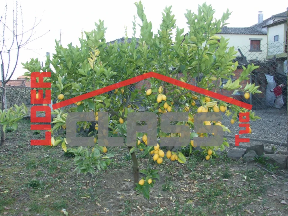 Quinta T5 para Venda em Vila Flor e Nabo Foto 27