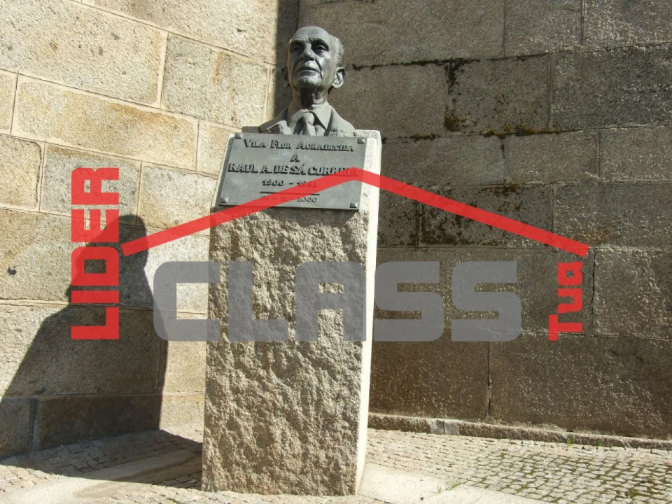 Quinta T5 para Venda em Vila Flor e Nabo Foto 35