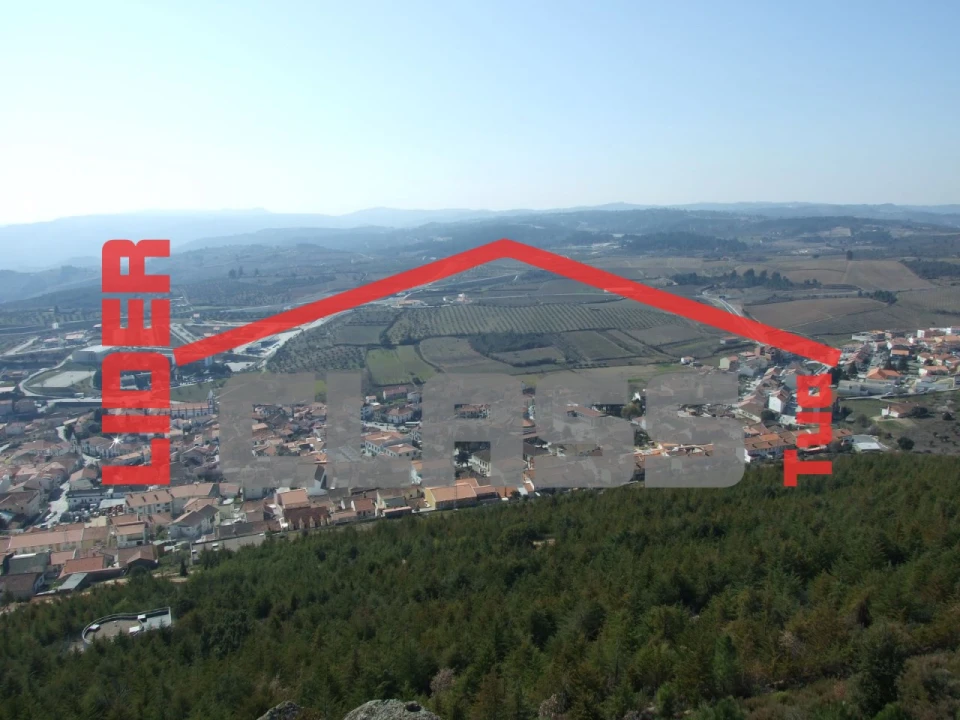 Quinta T5 para Venda em Vila Flor e Nabo Foto 38