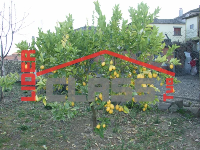 Quinta T5 para Venda em Vila Flor e Nabo Foto 27