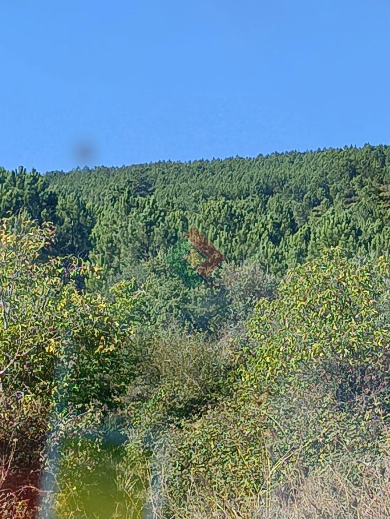 Terreno Agricola ou Rústico para Venda em São Salvador da Aramenha Foto 4