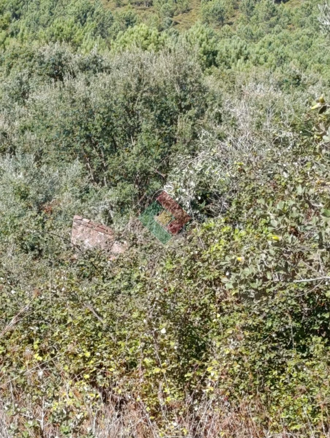 Terreno Agricola ou Rústico para Venda em São Salvador da Aramenha Foto 7