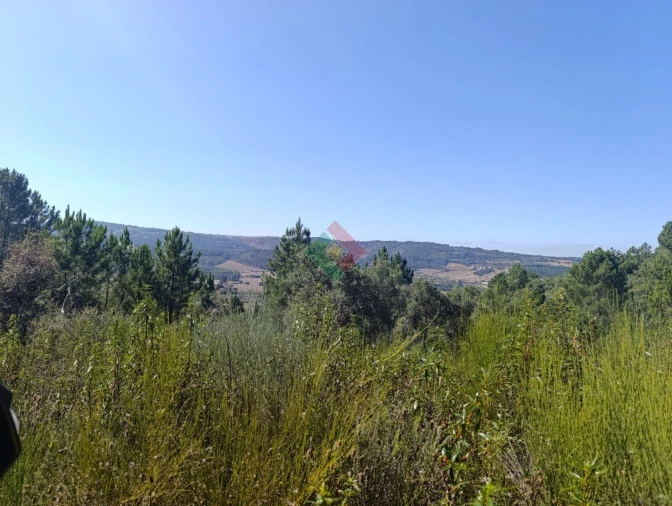 Terreno Agricola ou Rústico para Venda em São Salvador da Aramenha Foto 1