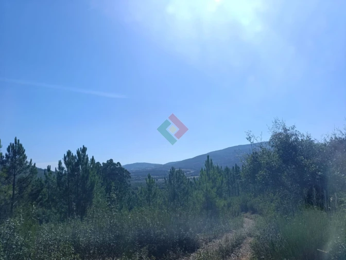 Terreno Agricola ou Rústico para Venda em São Salvador da Aramenha Foto 10