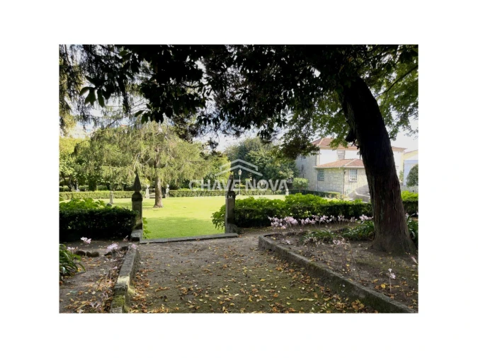 Quinta T9 para Venda em Aguas Santas Foto 13