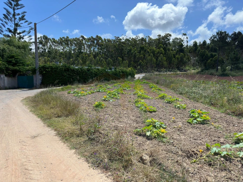 Terreno para Venda em Atouguia da Baleia Foto 17