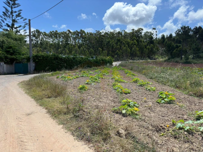 Terreno para Venda em Atouguia da Baleia Foto 17