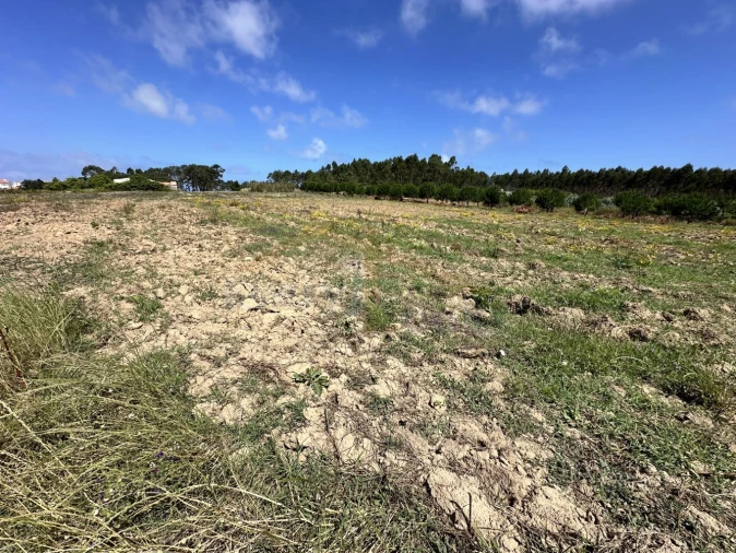 Terreno para Venda em Atouguia da Baleia Foto 3