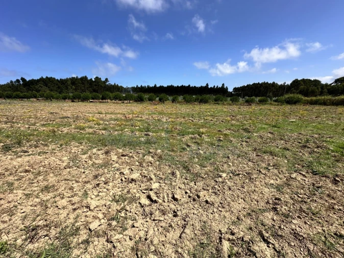 Terreno para Venda em Atouguia da Baleia Foto 4