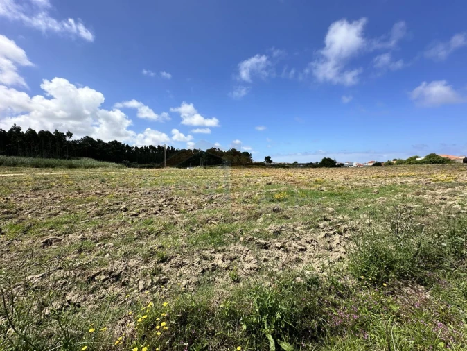 Terreno para Venda em Atouguia da Baleia Foto 6