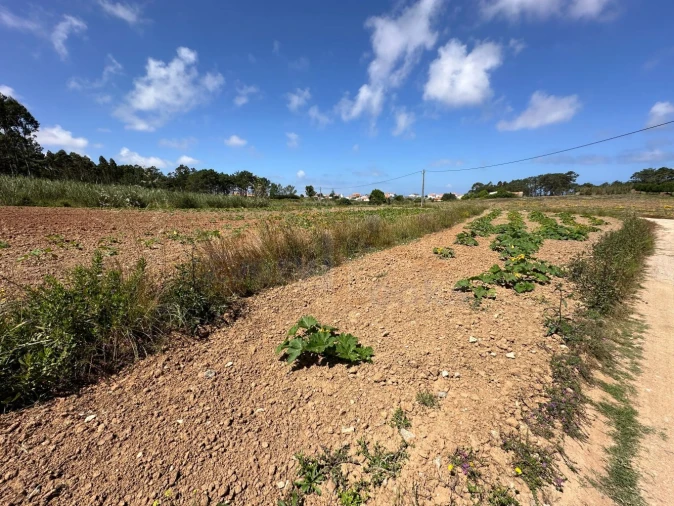 Terreno para Venda em Atouguia da Baleia Foto 15