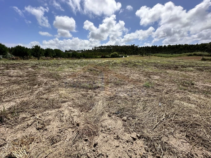 Terreno para Venda em Atouguia da Baleia Foto 9